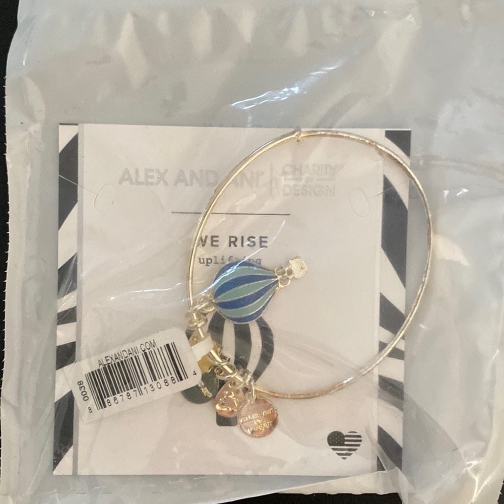 NIB Alex and Ani We Rise Charm Bangle Silver
